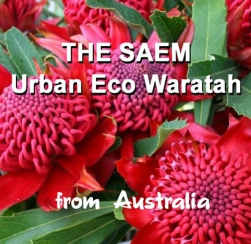 The Saem Urban Eco Waratah Cream Увлажняющий крем для лица